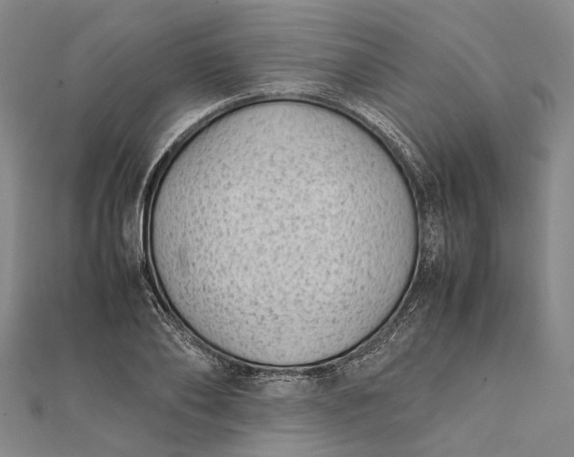 X0000111850886200908061312