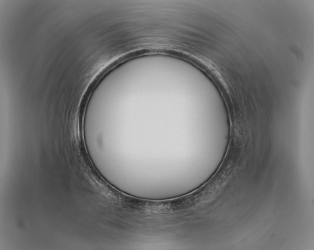 X0000111850887200908061312