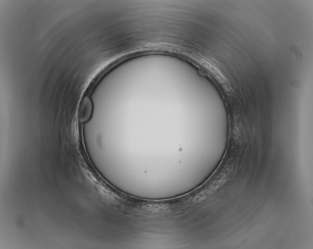 X0000111850888200908061312