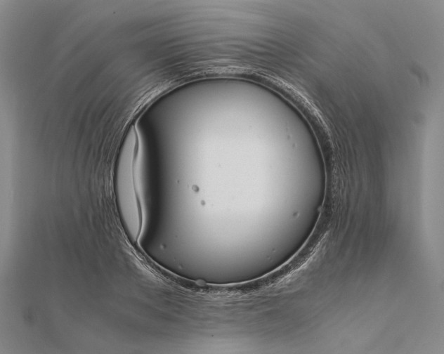 X0000111850889200908061312