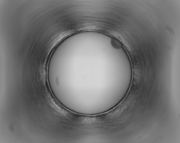 X0000111850890200908061312