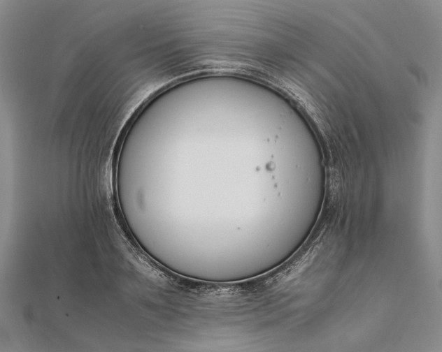 X0000111850891200908061312