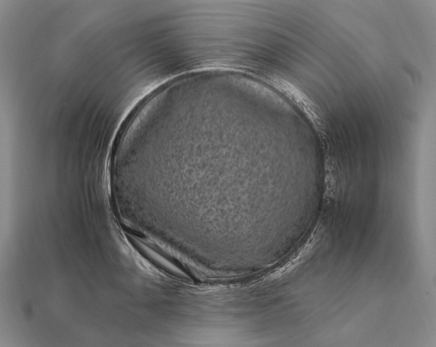 X0000111850892200908061312