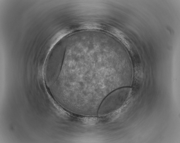 X0000111850893200908061312