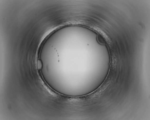 X0000111850894200908061312