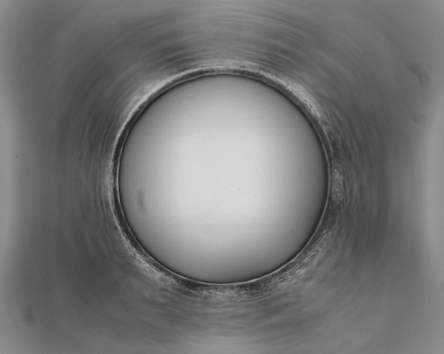 X0000111850895200908061312