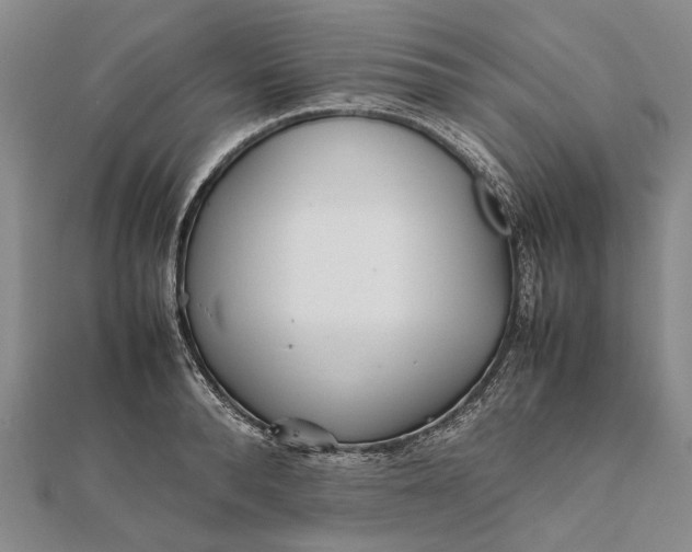 X0000111850896200908061312