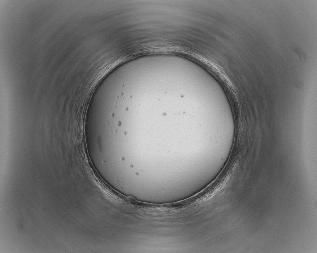 X0000111850897200908061312