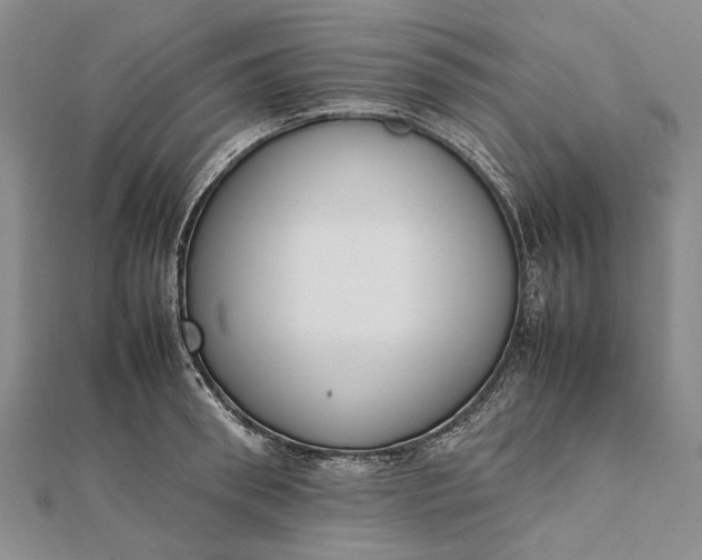 X0000111850898200908061312