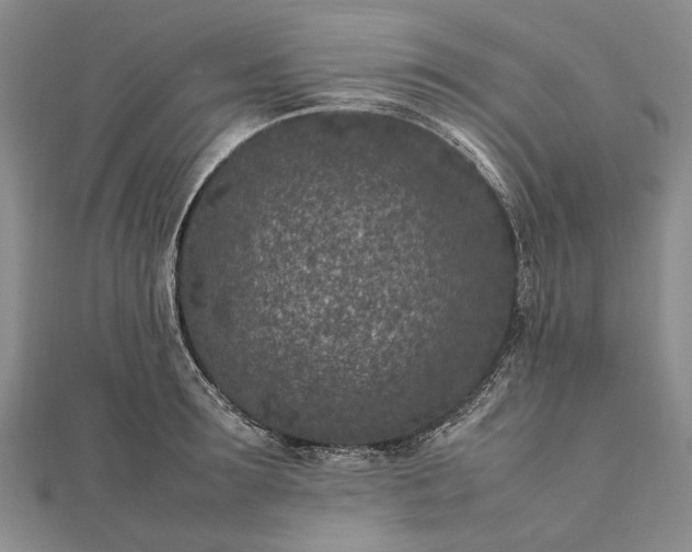 X0000111850899200908061312