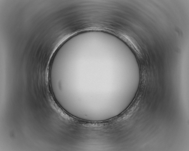 X0000111850900200908061312