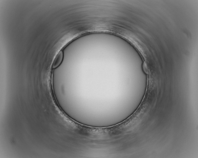 X0000111850901200908061312