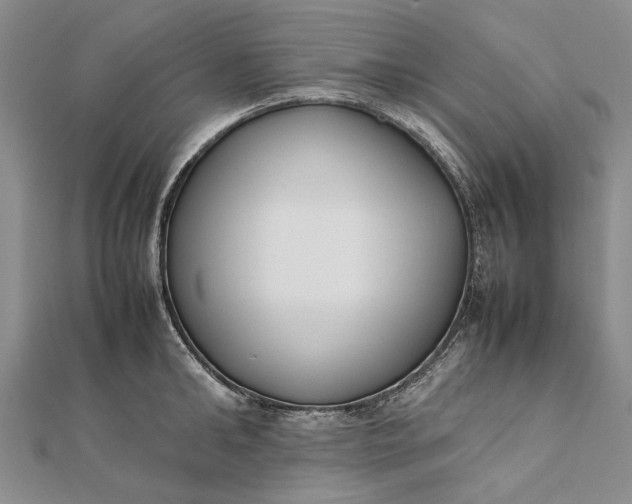 X0000111850902200908061312