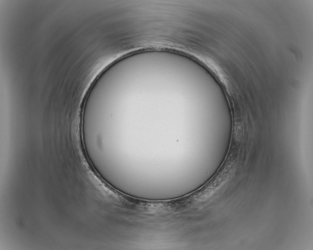 X0000111850903200908061312