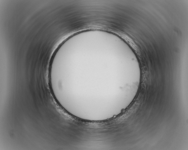 X0000111850904200908061312