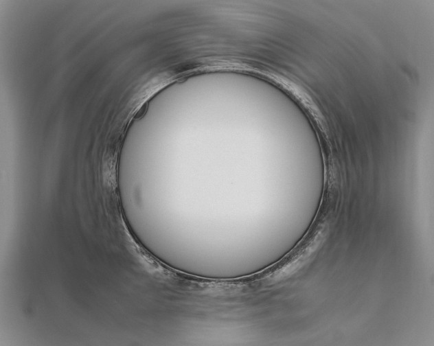 X0000111850905200908061312