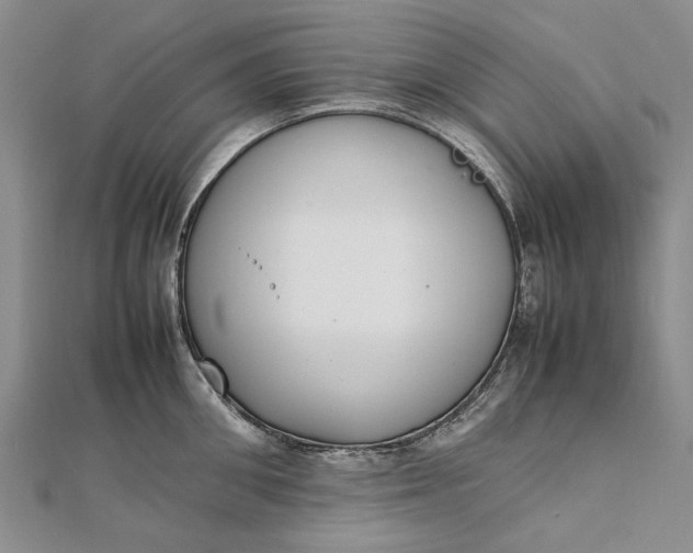 X0000111850906200908061312