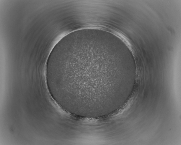 X0000111850907200908061312