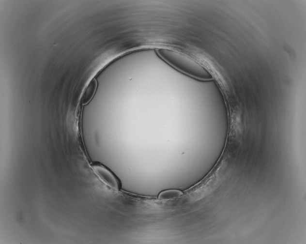 X0000111850908200908061312