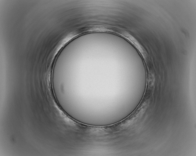 X0000111850909200908061312