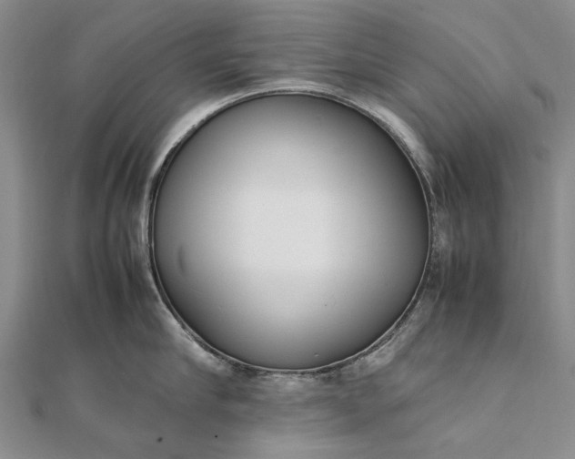 X0000111850910200908061312