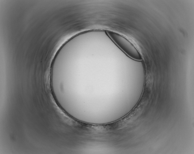 X0000111850911200908061312