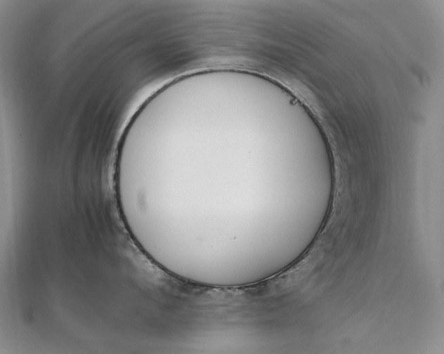 X0000111850912200908061312