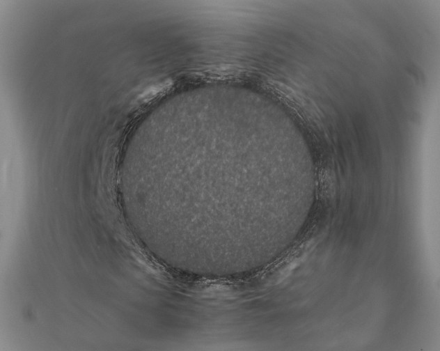 X0000111850913200908061311