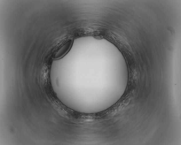 X0000111850914200908061311