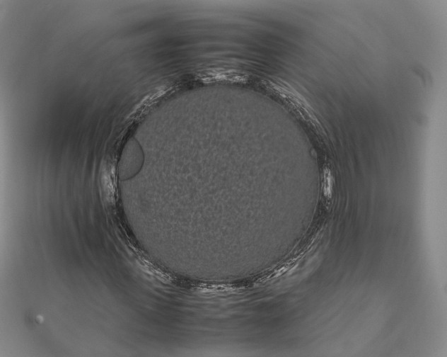 X0000111850915200908061311