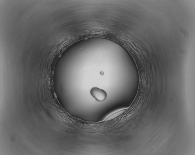 X0000111850916200908061311