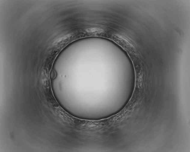 X0000111850917200908061311