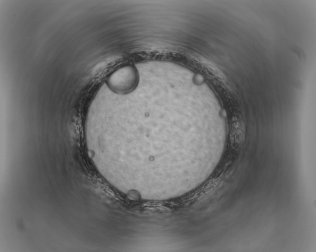 X0000111850918200908061311