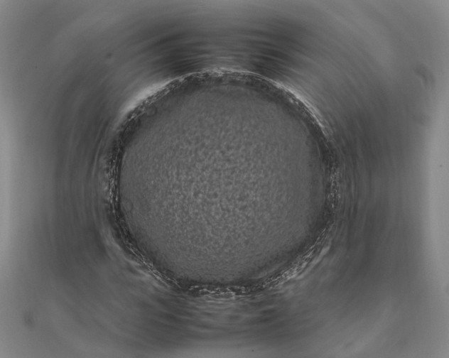 X0000111850919200908061311