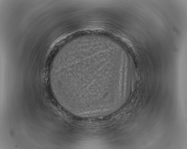 X0000111850920200908061311