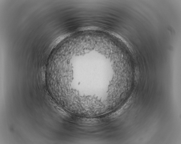 X0000111850921200908061311