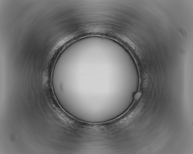 X0000111850922200908061311