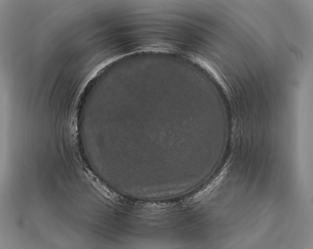 X0000111850923200908061311