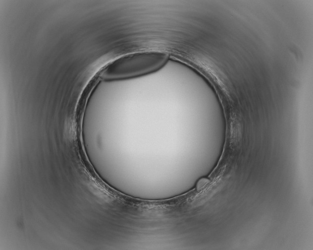 X0000111850924200908061311