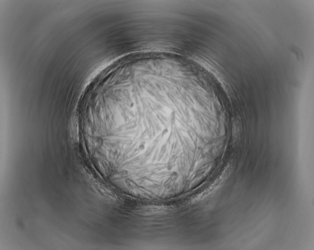 X0000111850925200908061311