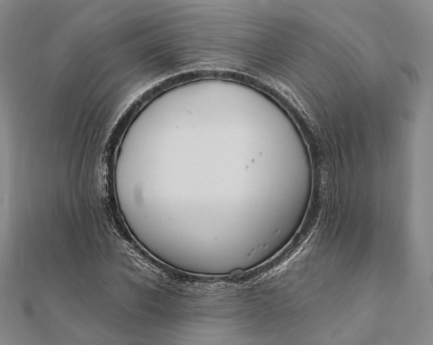 X0000111850926200908061311