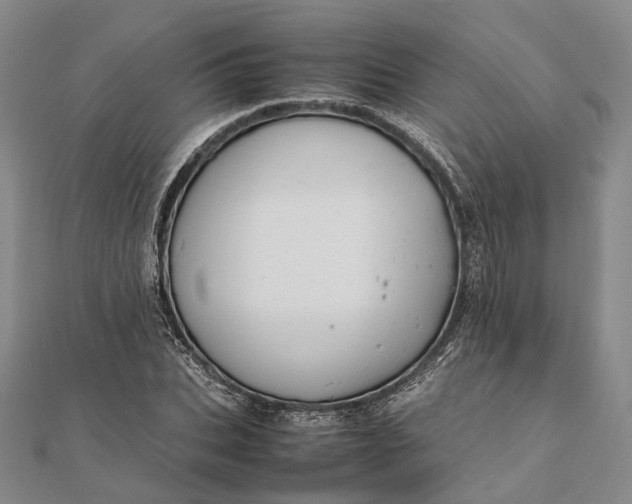 X0000111850927200908061311