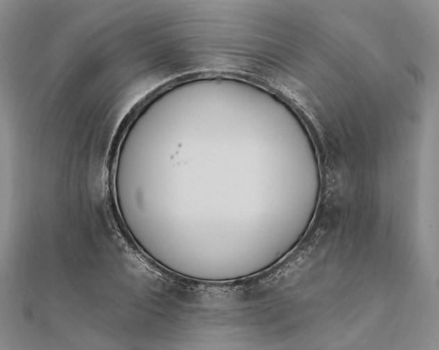 X0000111850928200908061311