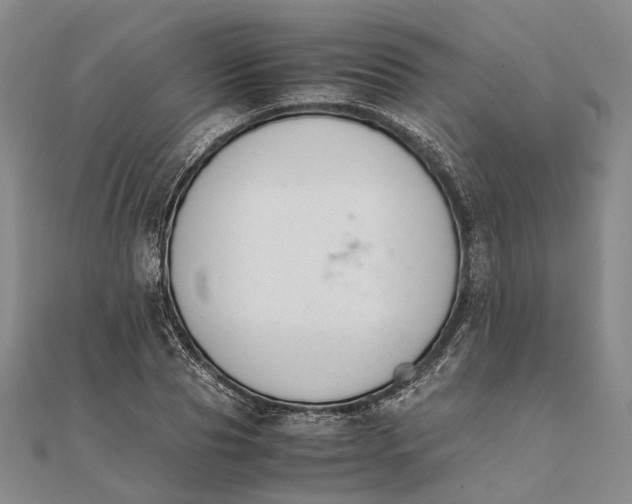 X0000111850929200908061311