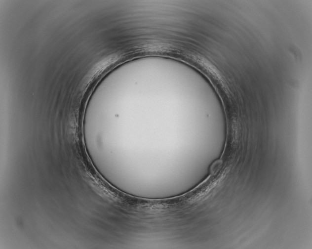 X0000111850930200908061311