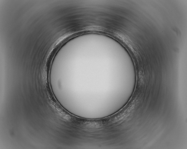 X0000111850931200908061311