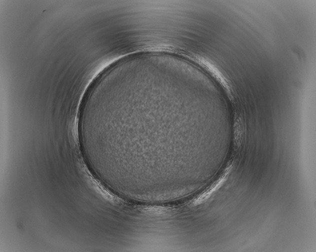 X0000111850932200908061311