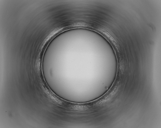 X0000111850933200908061311