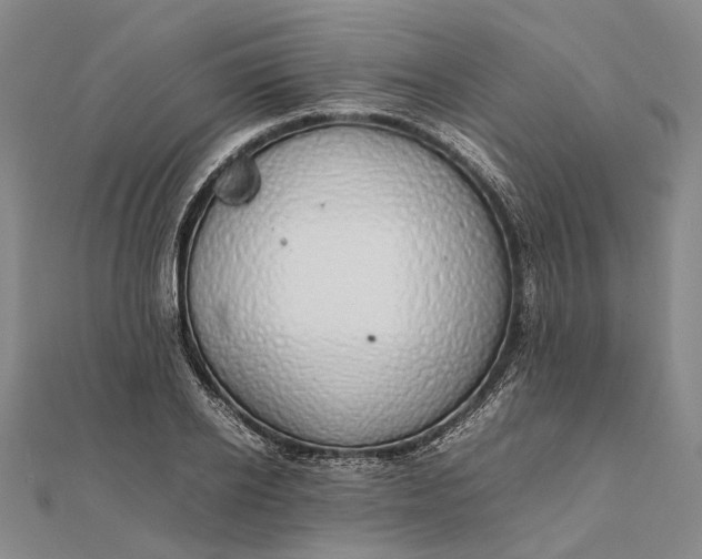 X0000111850934200908061311