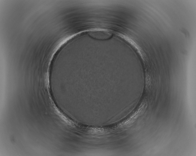 X0000111850935200908061311